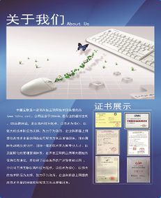 上海联启网络科技 引领未来的网络技术开发专家